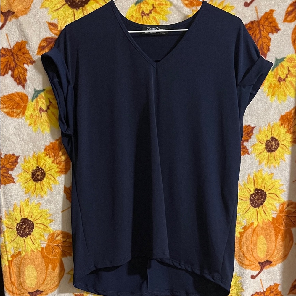 Zara Deep Blue V-Neck Blouse